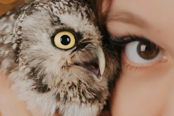 ТУСК Казино Поддръжка